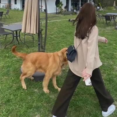 女子公寓