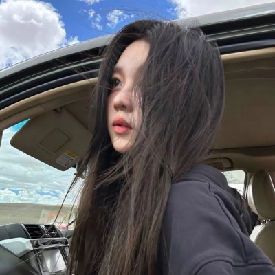 长翅膀的猪